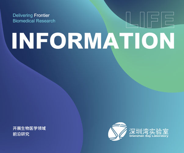 上海品牌設計公司如何呈現現代的品牌設計視覺識別